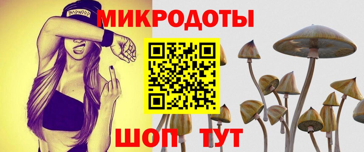 Галлюциногенные грибы мухоморы  Галлюциногенные грибы Psilocybine cubensis  Вход с VPN  Гусь-Хрустальный 